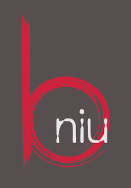 NIU B Chicago